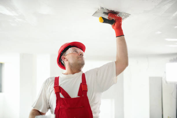 Best Ceiling Drywall Installation  in New Baden, IL